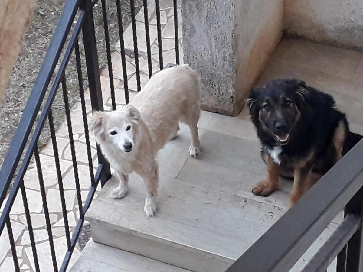 Guesthouse Resan Medulin Dış mekan fotoğraf